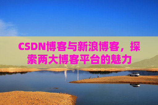 CSDN博客与新浪博客,探索两大博客平台的魅力